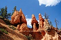Bryce Canyon-Viaggi-12